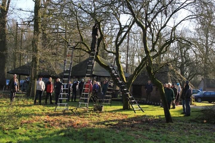 Groep brigadeleden verzameld in een boomgaard voor het snoeien