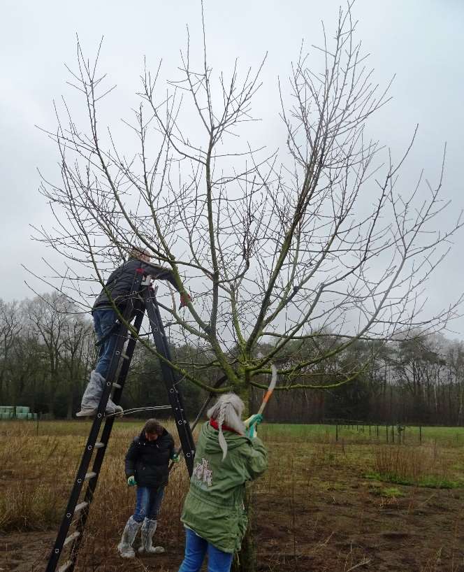 Doelstelling